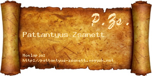 Pattantyus Zsanett névjegykártya